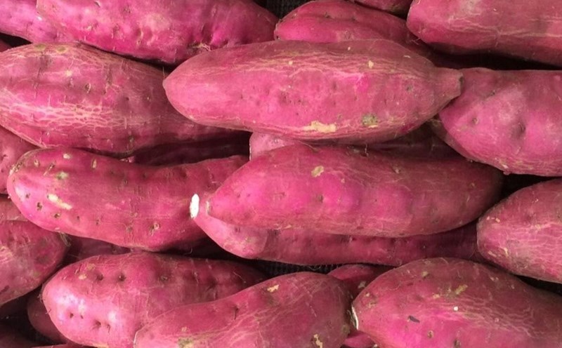 Sweet potatoes are a vegetable that provides a lot of potassium. Photo: Kieu Vu