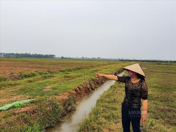 Compensation for agricultural land when the State reclaims it always receives attention. Photo: Phan Anh