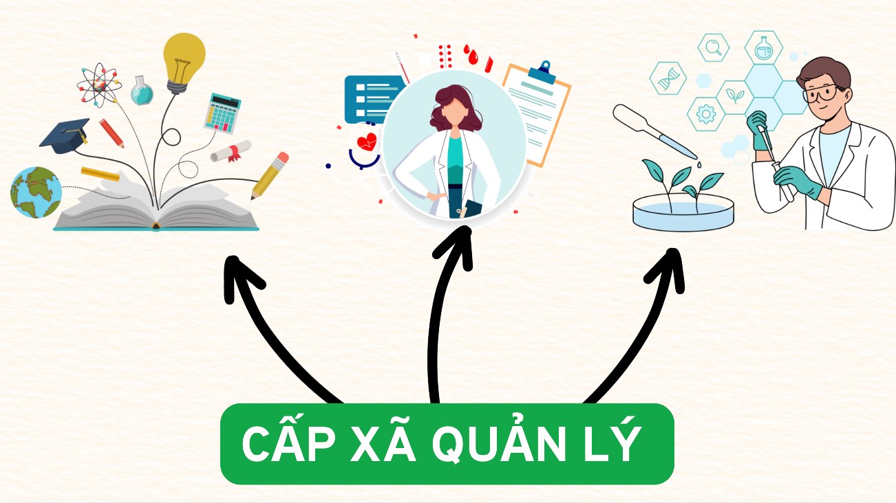 After the arrangement, what will happen to the local education and health service units?