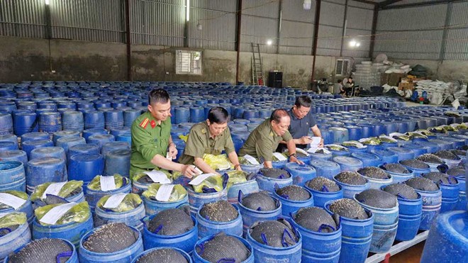 Nghệ An triệt phá ổ sản xuất 3.500 tấn giá đỗ ngâm hóa chất