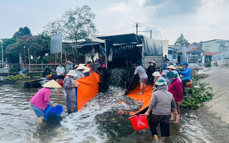 Trà Ôn thả hơn 2 tấn cá trê giống tái tạo nguồn lợi thủy sản. Ảnh: Hoàng Lộc