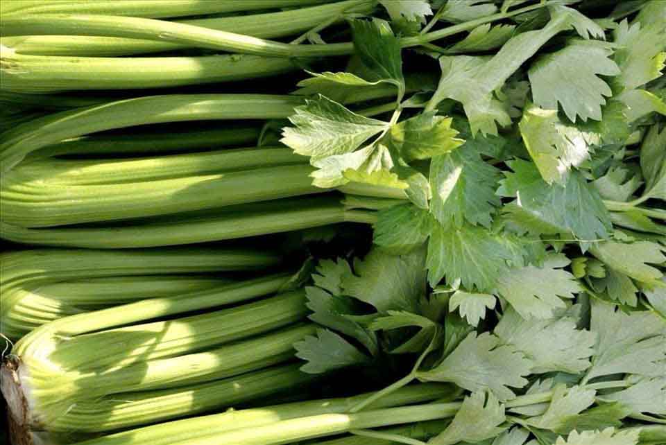 Celery can supplement calcium in people with diabetes. Photo: Thanh Thanh