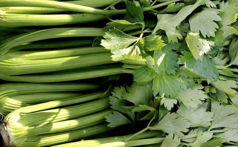 Celery can supplement calcium in people with diabetes. Photo: Thanh Thanh