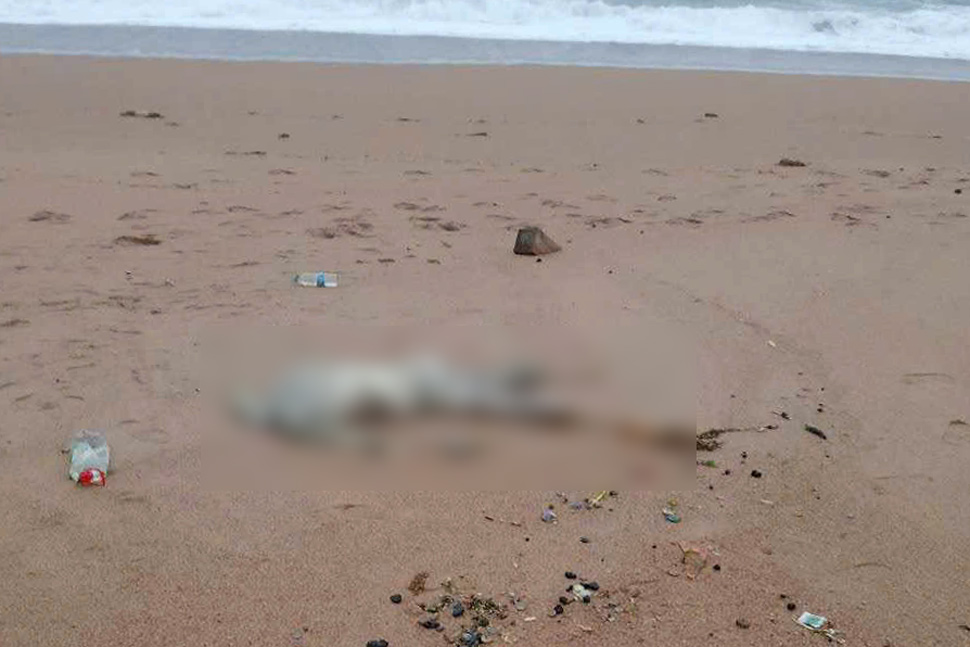 Thi thể nam không nguyên vẹn trôi dạt vào bờ biển Phú Yên. Ảnh: Minh Dự