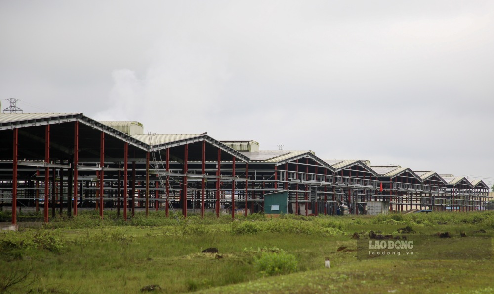 El proyecto de planta y oficinas de Central Park abandonado despues de cinco años de concesion de la iniciativa de inversion. Imagen: El Renacimiento