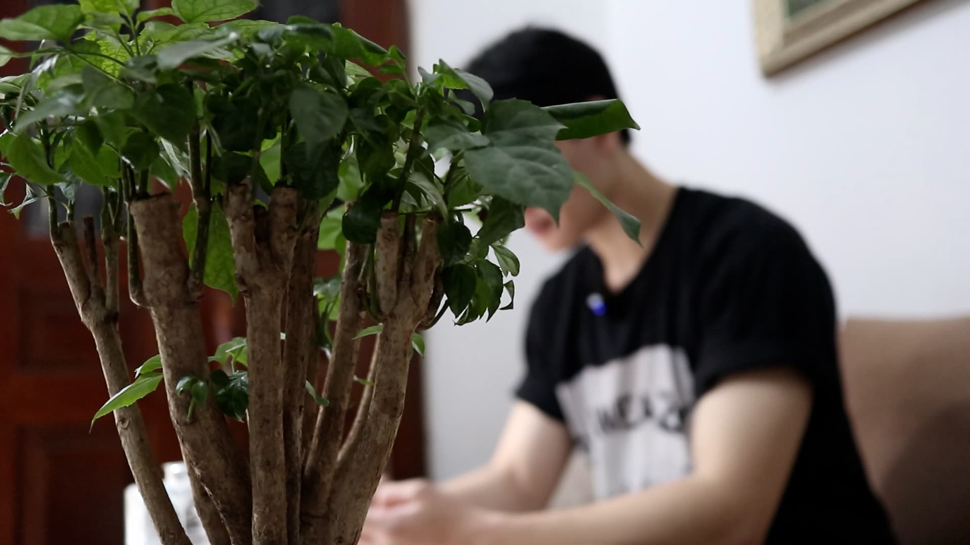 Las citas por Internet, el amor facil pero rapido