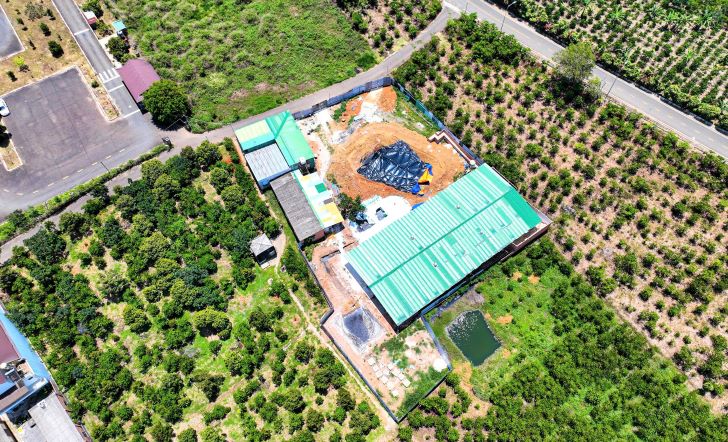 El campo de porcino de la familia de la señora Choi. Imagen de la lampara roja