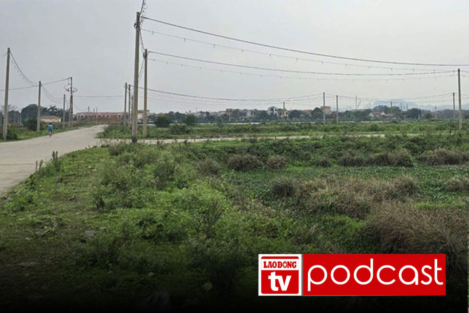 Morning news 3.4. Land prices increase, mainly buying and selling for deposits