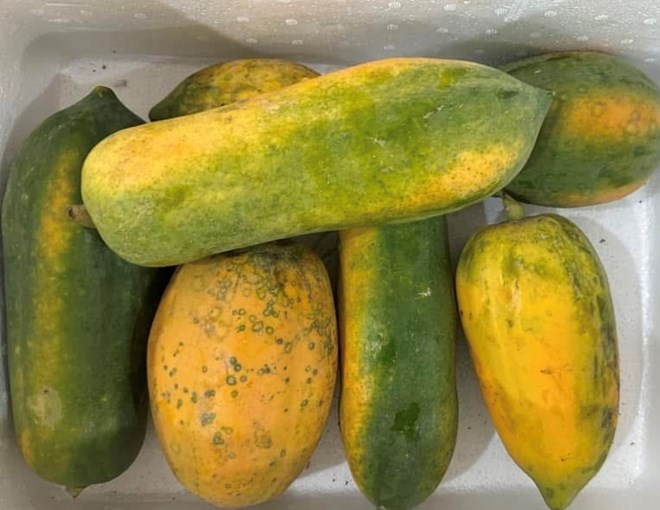 La ingesta de frutas no solo proporciona vitaminas y minerales esenciales, sino que tambien ayuda a mantener los ojos sanos. Foto: Ki-woo. Se puede ver en el video.