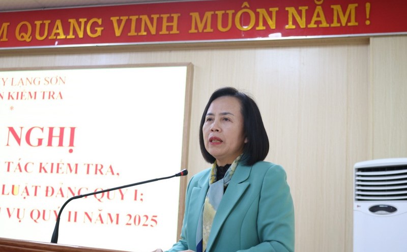 Standing Deputy Secretary of the Provincial Party Committee Doan Thi Hau directs the inspection and enforcement of Party discipline. Photo: Phuong Dung