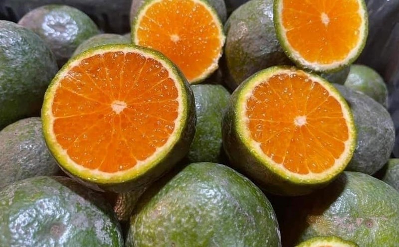 Oranges are a fruit that can effectively support muscle growth and fat loss. Photo: Kieu Vu