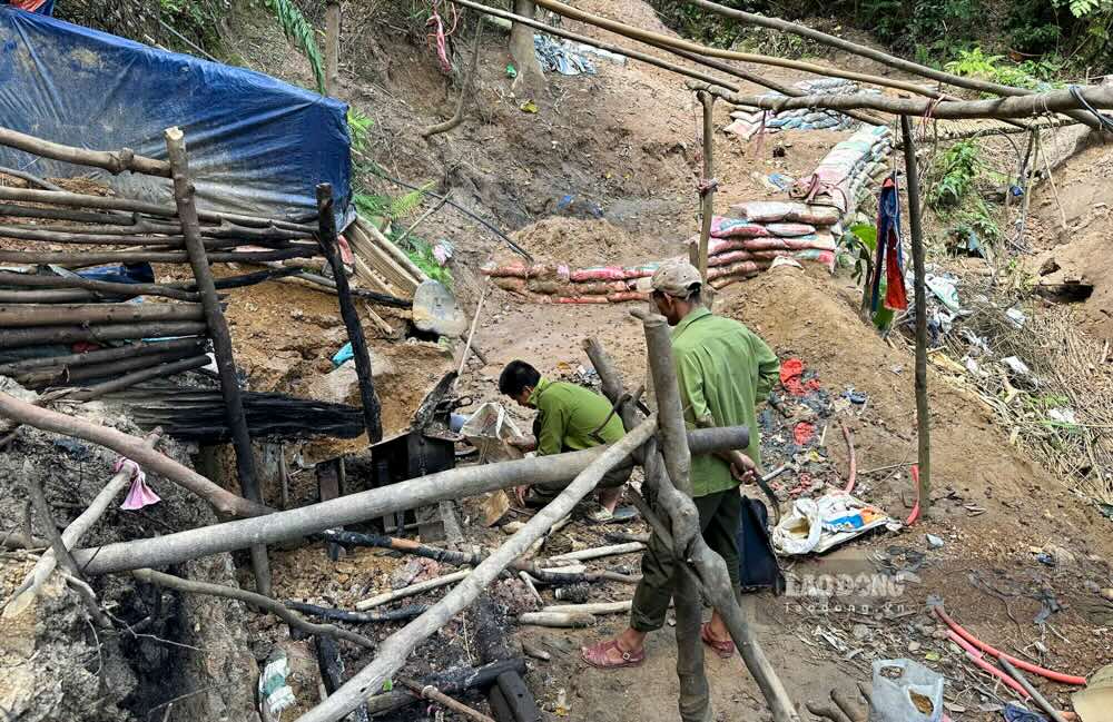 El castillo de los ladrones en el Bosque de los Eternos ha sido derribado. Imagen de la pagina