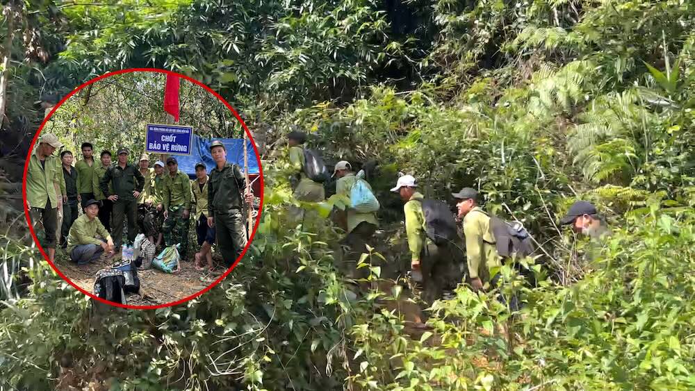 To prevent gold bandits, forest protection forces set up checkpoints right in the special-use forest. Photo: PV