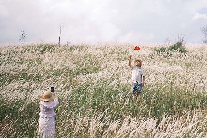 Chen chân check-in đồi cỏ tranh lãng mạn ở Điện Biên