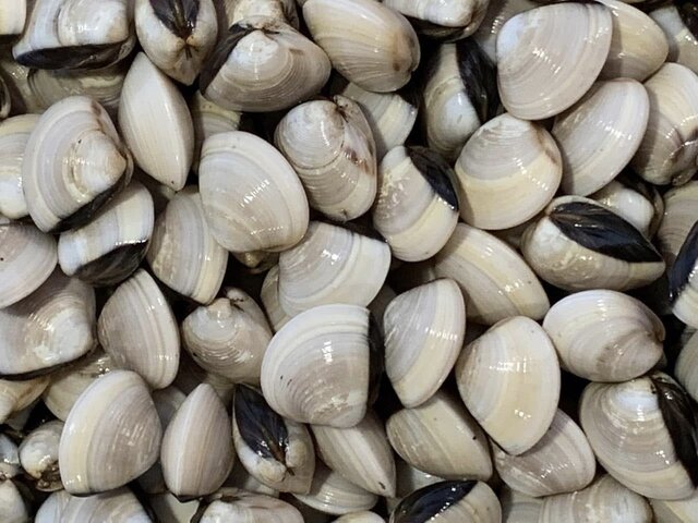 C jams are an effective source of natural vitamin B12 that housewives should take advantage of. Photo: Kieu Vu