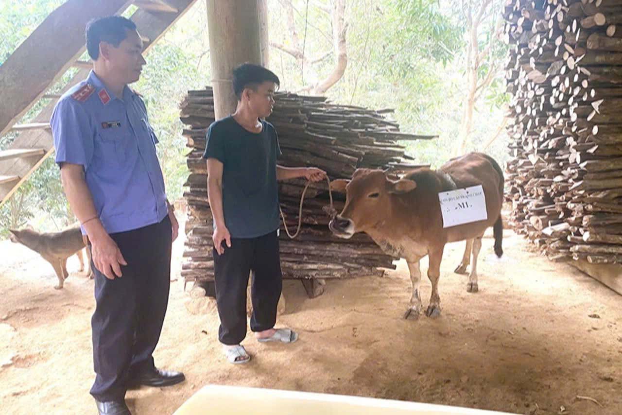 Las autoridades tomaron muestras de ADN de la vaca de los dos hogares en disputa. Imagen de la pagina web de la organizacion