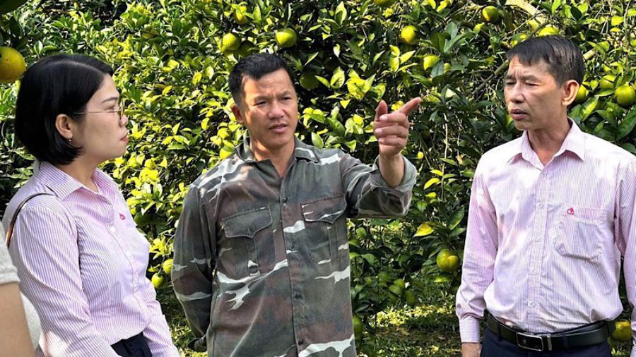 The borrower discussed with the VBSP staff about developing the family economy. Photo: Minh Uyen