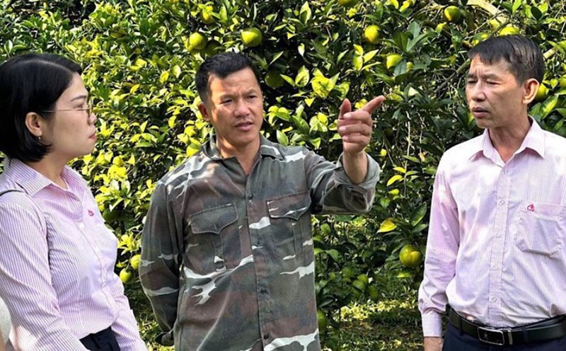 The borrower discussed with the VBSP staff about developing the family economy. Photo: Minh Uyen