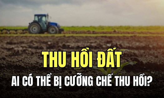 Việc cưỡng chế thực hiện quyết định thu hồi đất phải bảo đảm các nguyên tắc theo quy định pháp luật. Đồ họa: Trà My