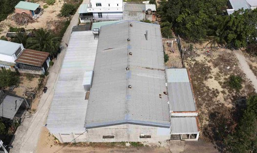 Khu xưởng bốc mùi hôi thối khiến người dân thôn Phú Hậu (xã Cát Chánh, huyện Phù Cát, Bình Định) khốn khổ.  Ảnh: Hoài Luân
