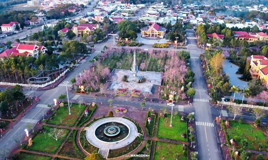 Quảng trường nở rộng Mai Anh Đào ở Măng Đen, huyện Kon Plông. Ảnh: Y Trang