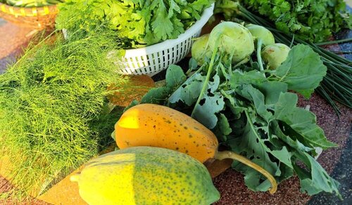 How to store ripe papaya. Photo: Thuy Duong