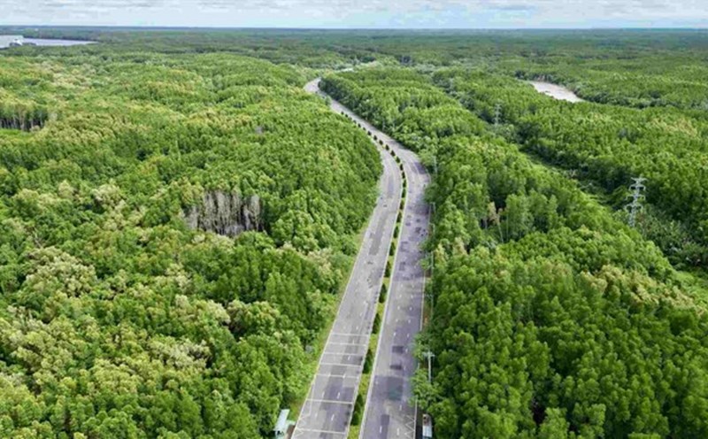 The metro line connecting District 7 - Can Gio will run along Rung Sac Road in Can Gio District, Ho Chi Minh City. Photo: Anh Tu