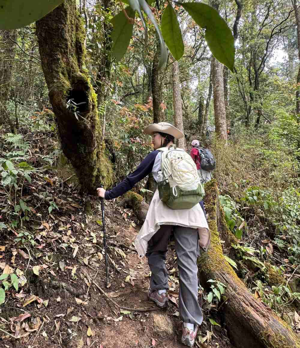 Lan dau trai nghiem trekking, Thuy Hang (21 tuoi, Ha Noi) da lua chon Sa Mu de chinh phuc trong 2 ngay 2 dem: “Voi do cao 2.756m so voi muc nuoc bien, day la dinh nui phu hop voi nhung trekker lan dau trai nghiem bo mon nay nhu minh. Tuy truoc luc di kha lo lang nhung minh cung rat hao hung”. Anh: NVCC