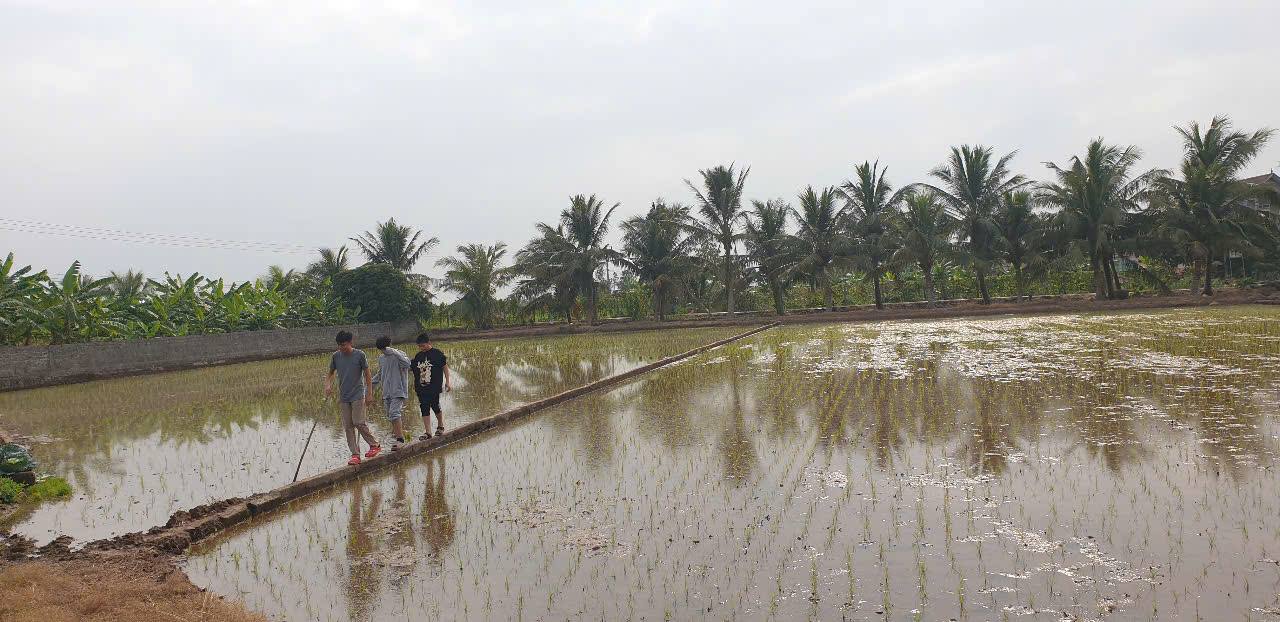 Un pueblo rural en el distrito de Chu Qi, provincia de Haiyang. Imagen de Nguyen Hung