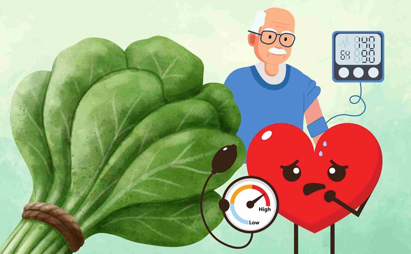 A familiar vegetable rich in magnesium helps control high blood pressure effectively. Graphics: Dinh Dinh