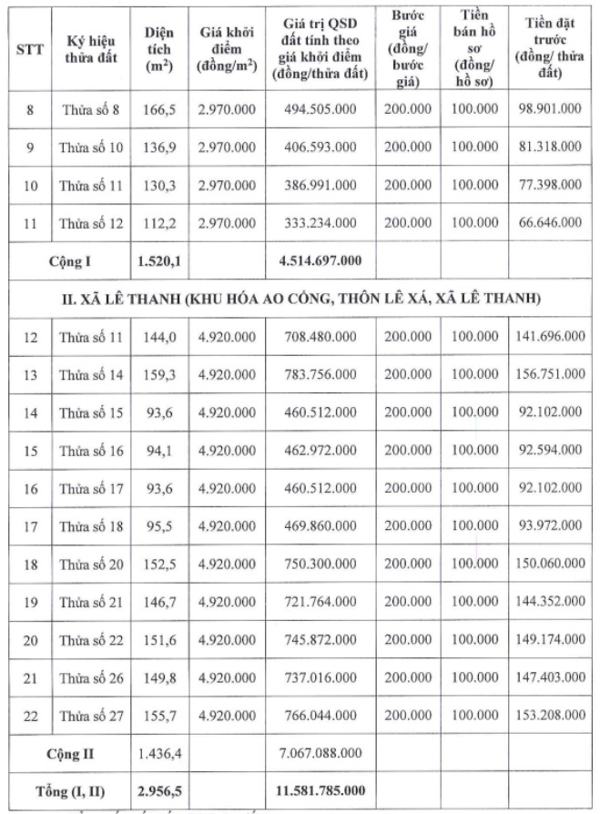 Thong tin cac thua dat trong phien dau gia ngay 8.5. Anh: Cong ty Dau gia hop danh Lac Viet