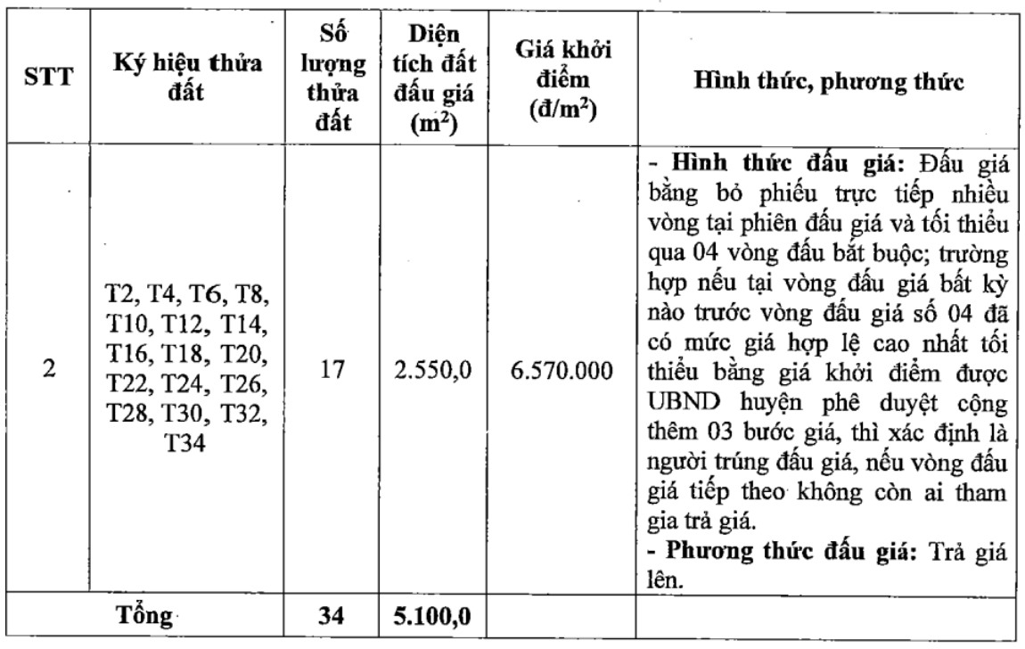 Thong tin cac thua dat trong phien dau gia ngay 11.5. Anh: Cong ty Dau gia hop danh So 5 Quoc gia