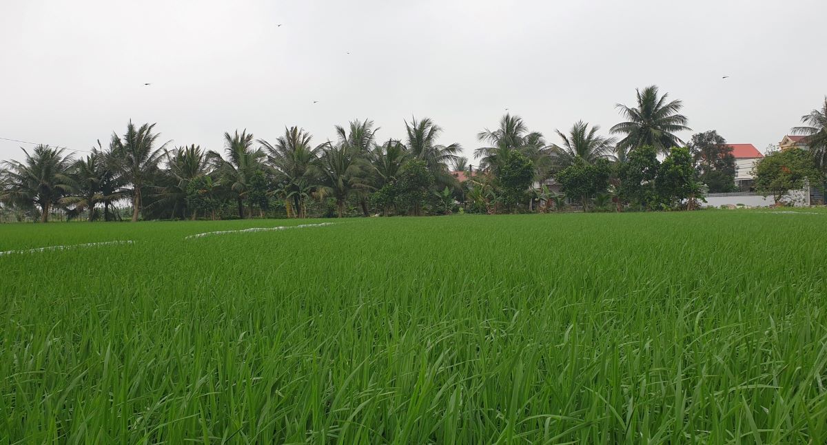 Un pueblo en el oceano. Imagen de Nguyen Hung