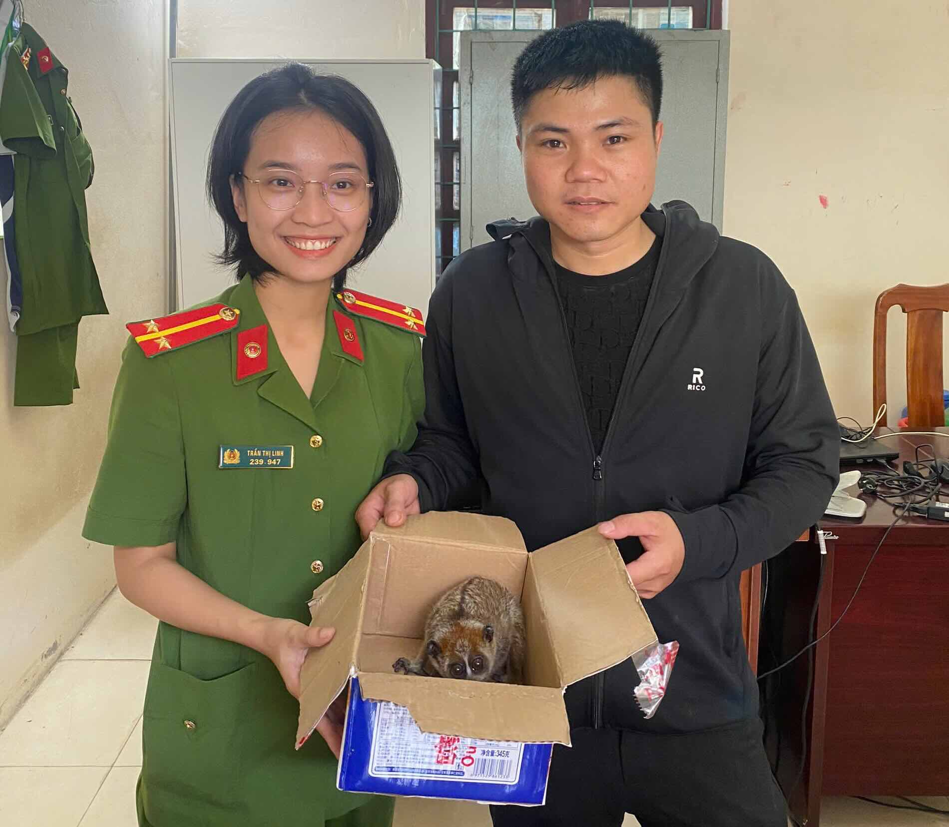 People handed over a rare small Cu li individual. Photo: Phu Canh Police
