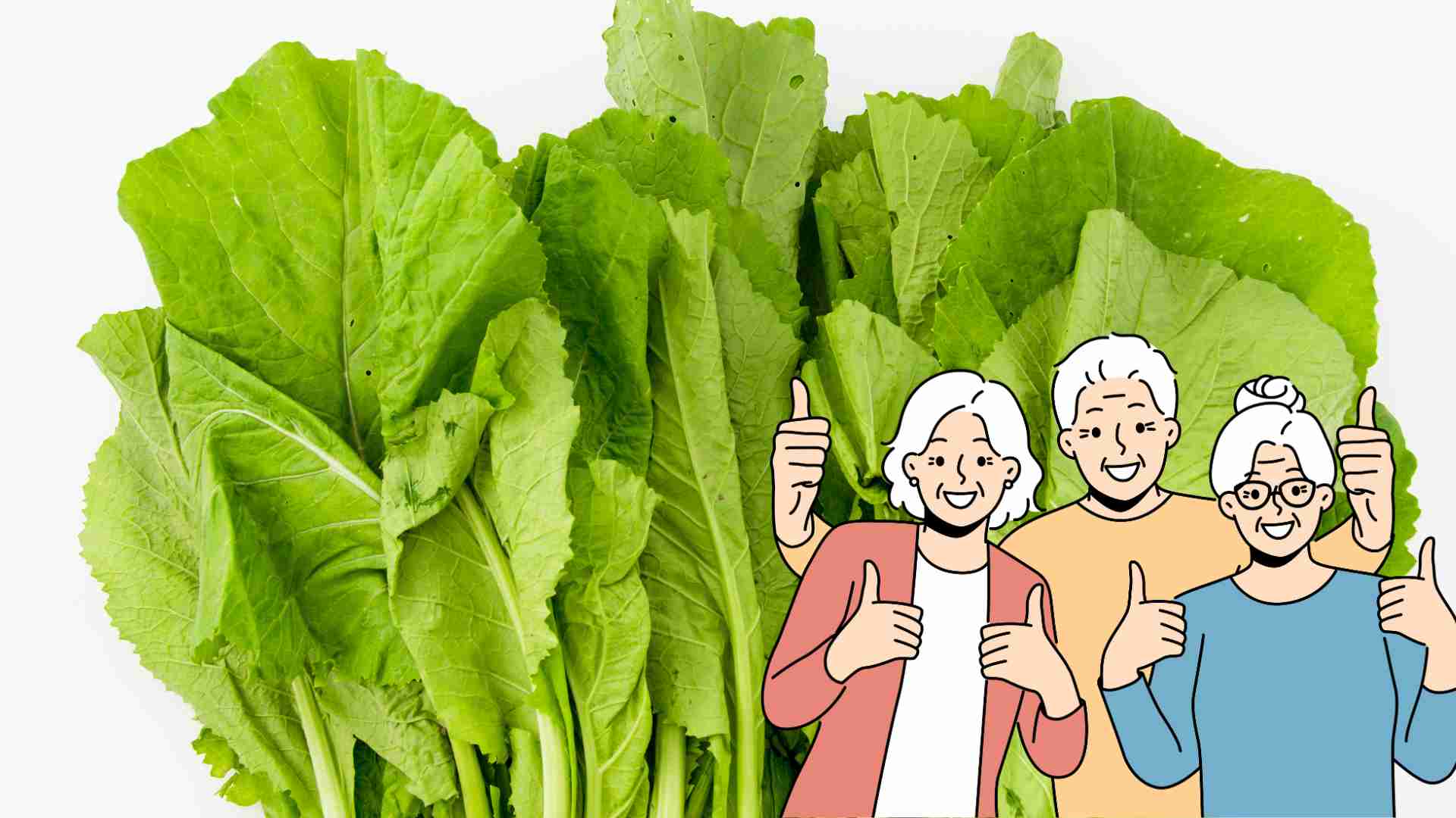 cruciferous vegetables are good for the health of the elderly. Photo: Ha May