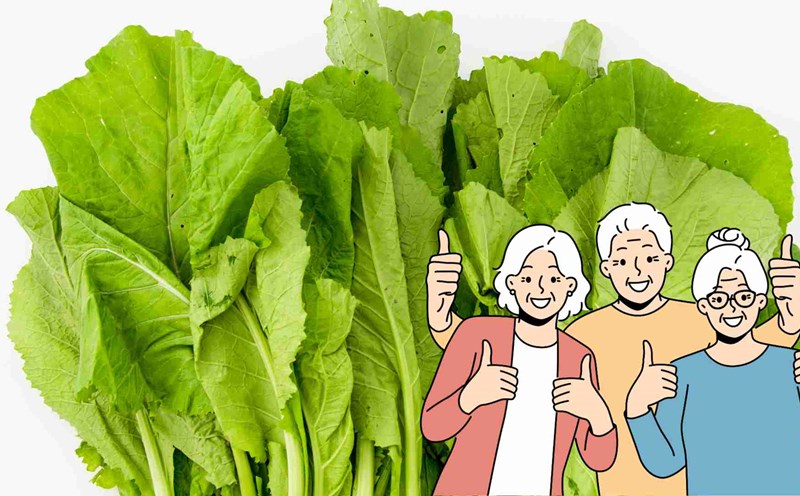 cruciferous vegetables are good for the health of the elderly. Photo: Ha May