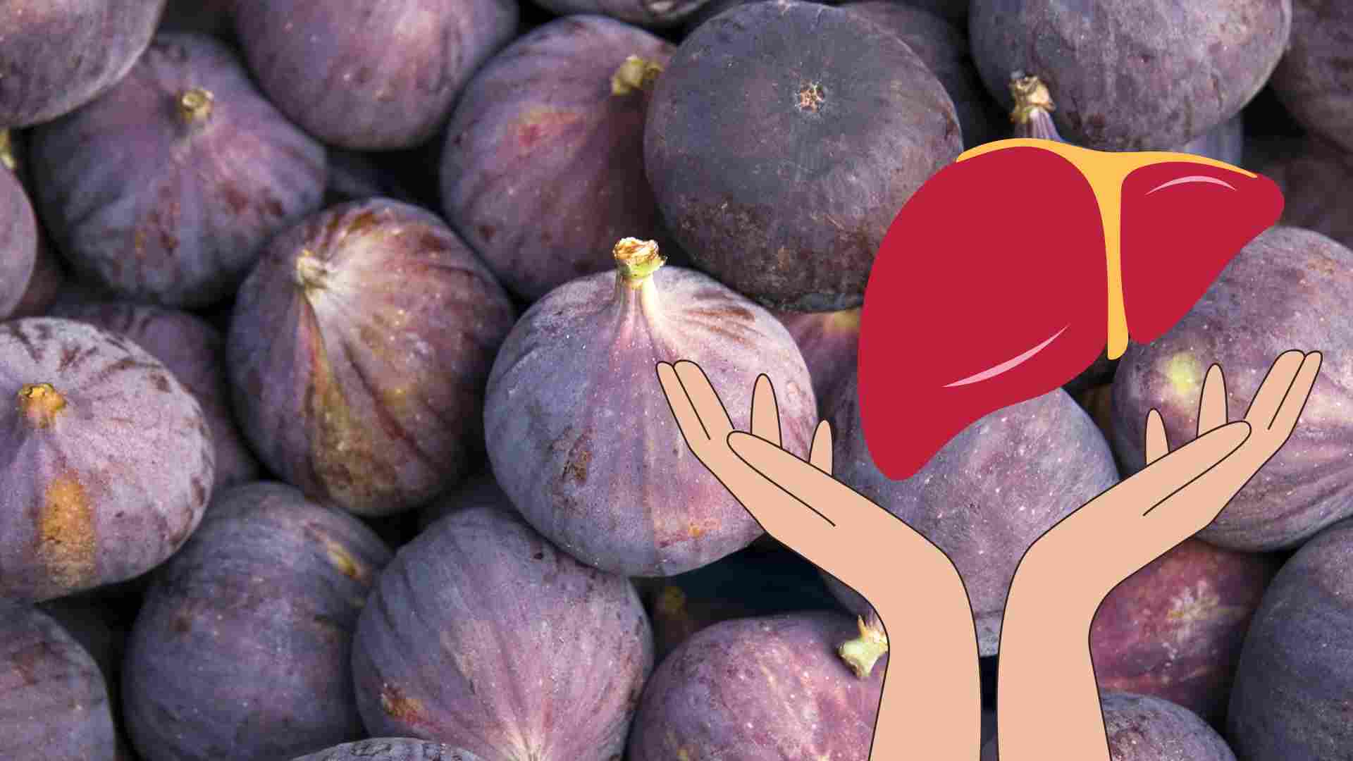 Figs contain active ingredients that help protect the liver. Graphics: Ha May