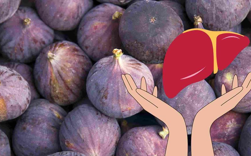 Figs contain active ingredients that help protect the liver. Graphics: Ha May