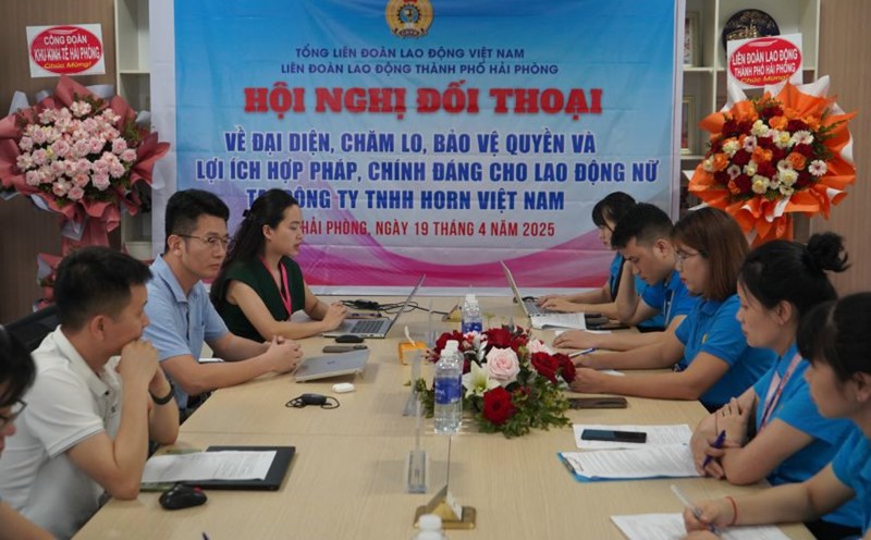 The problem of being left unused and unused at Horn Viet Nam Company Limited. Photo: Mai Dung