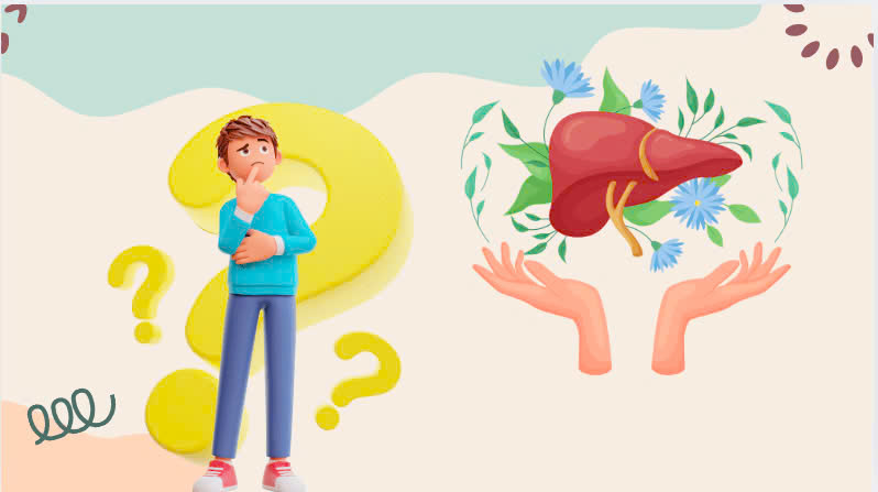 To recover the liver, eat these nuts