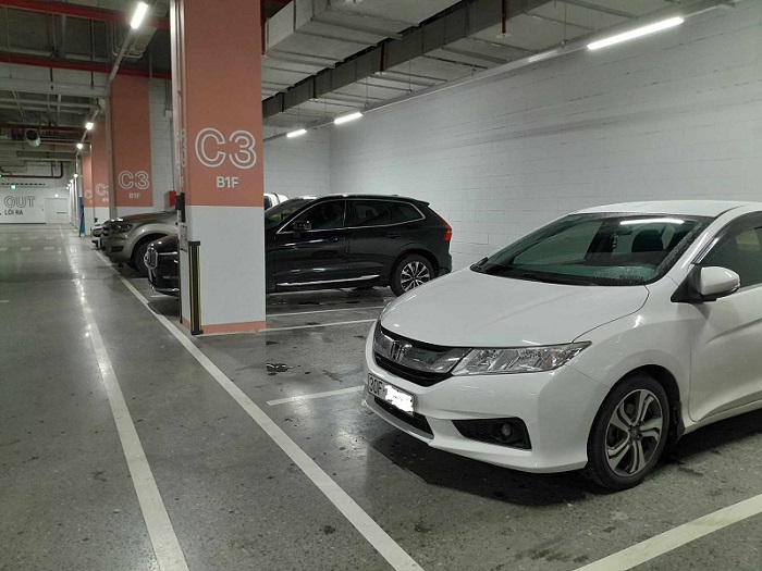 Los coches estacionados no se queman ni con ratones que muerden los hilos. Ilustracion de la imagen: