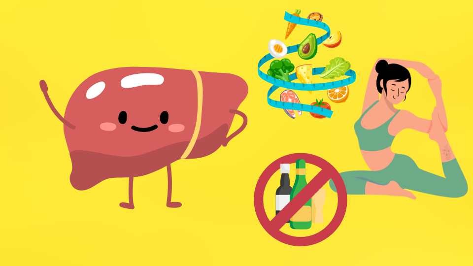 Una dieta saludable ayuda a restaurar el rendimiento del higado. El dibujo: