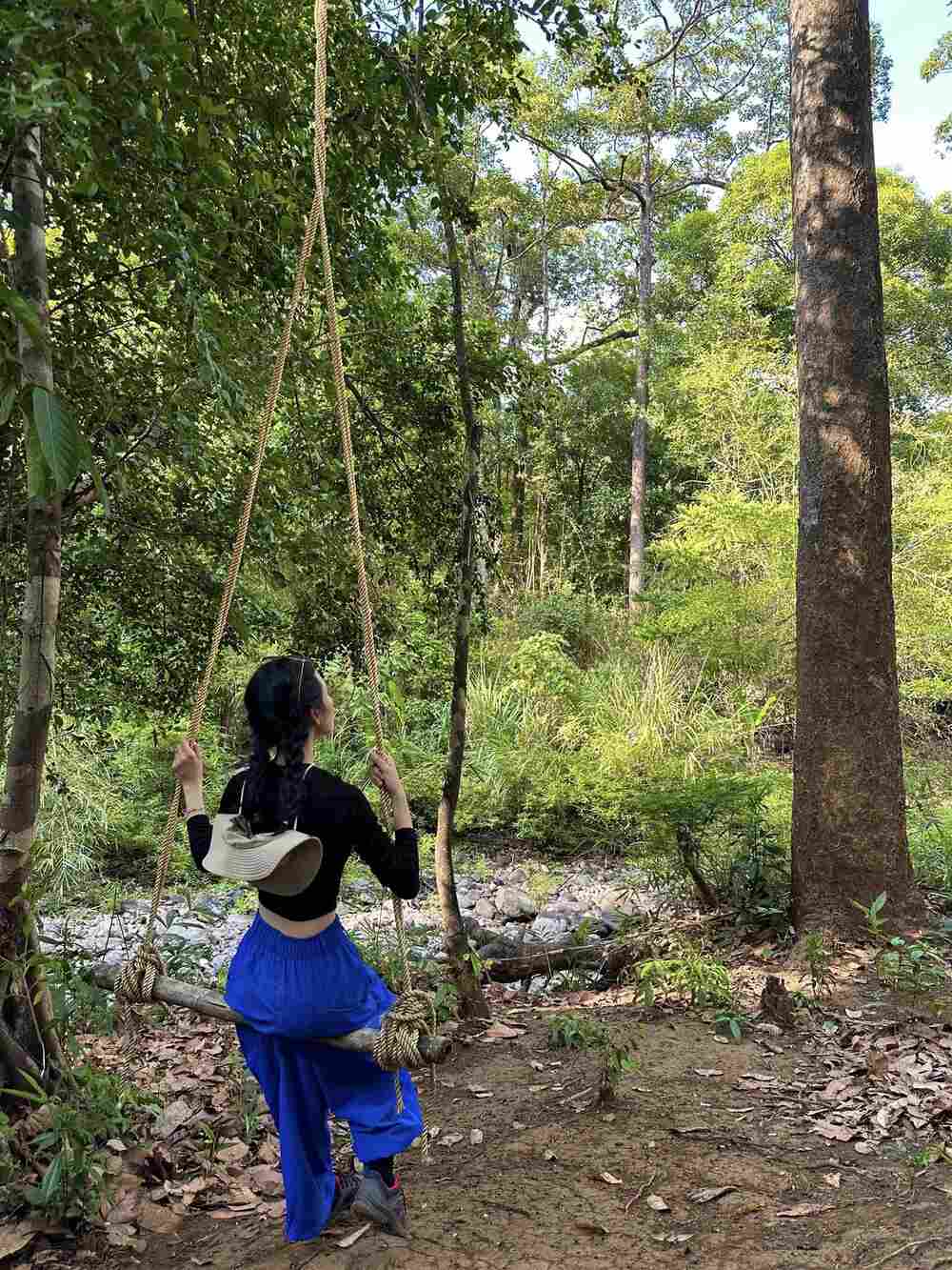 Tuy nhiên, vì trong rừng có mưa, nắng thất thường nên du khách cần chủ động chuẩn bị xịt côn trùng, áo mưa, quần, áo dài tay, mũ chống nắng... Ngoài ra, nên mua giày trekking chuyên dụng, chống trượt, balo gọn nhẹ.