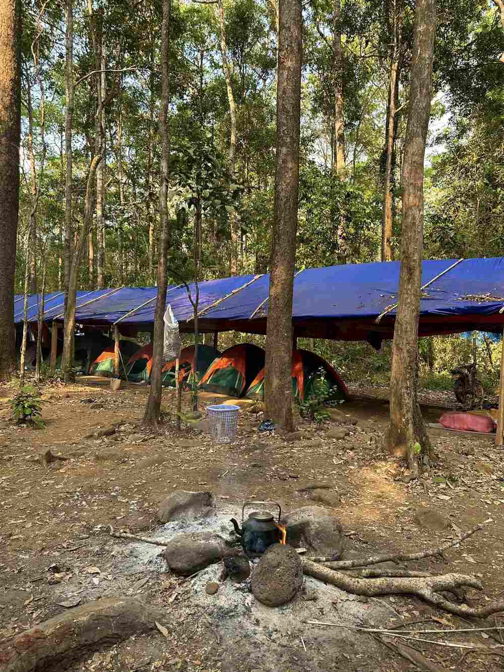 Dù không yêu cầu thể lực cao, Kiều My cho rằng trekking Bù Gia Mập vẫn cần sức bền, tinh thần thoải mái, cởi mở để có thể tận hưởng được hết vẻ đẹp của thiên nhiên nơi đây. Ảnh: NVCC