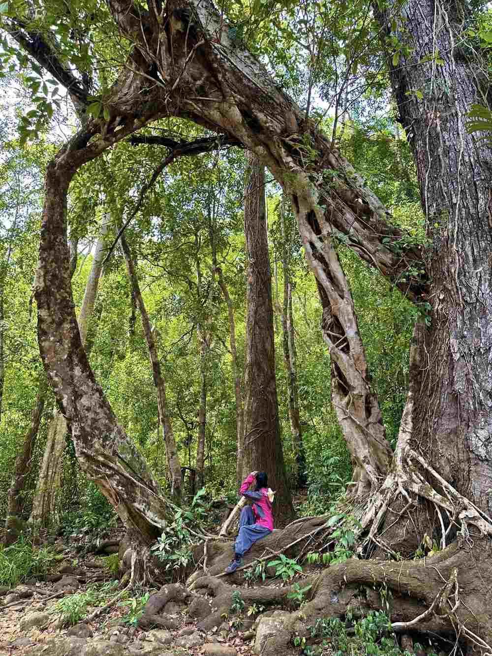 Kiều My (26 tuổi, TPHCM) đã có chuyến trekking 3 ngày 2 đêm đáng nhớ tại Bù Gia Mập. Dù lần đầu trải nghiệm bộ môn này, cô gái trẻ tỏ ra hào hứng, thích thú đến quên mệt mỏi. Ảnh: NVCC