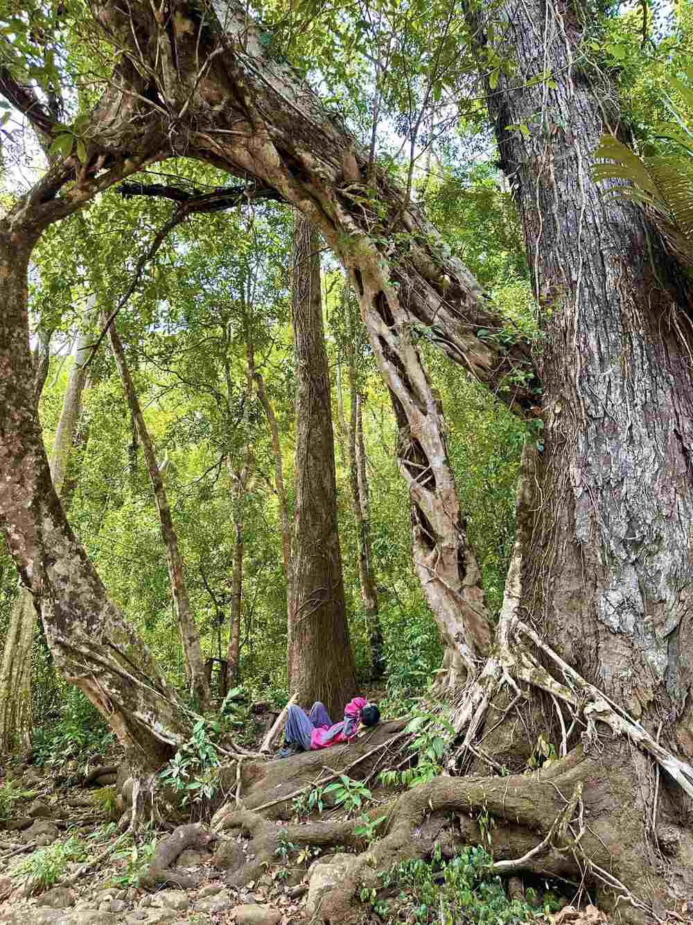 Không chỉ được đắm mình trong phong cảnh xanh mát, không khí trong lành, nữ trekker còn được lắng nghe, tìm hiểu thêm về văn hóa, tập tục của người dân tộc S’Tiêng sống tại đây.