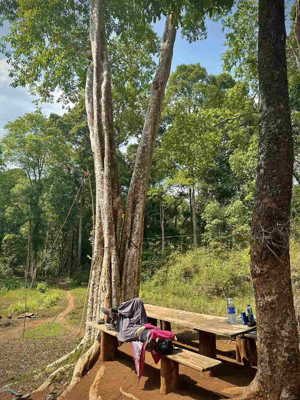 Kiều My cho biết dù lần đầu trekking nhưng vì tổng quãng đường chỉ có 8km, địa hình ít dốc, có suối và rừng nên không bị mệt hay gặp sự cố, khó khăn gì. Đây cũng là cung lý tưởng đối với những người lần đầu trekking.