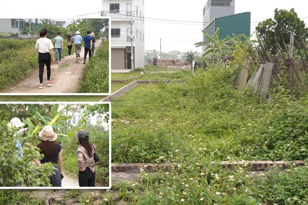 Land prices in suburban areas of Hanoi increase, investors cautiously put money