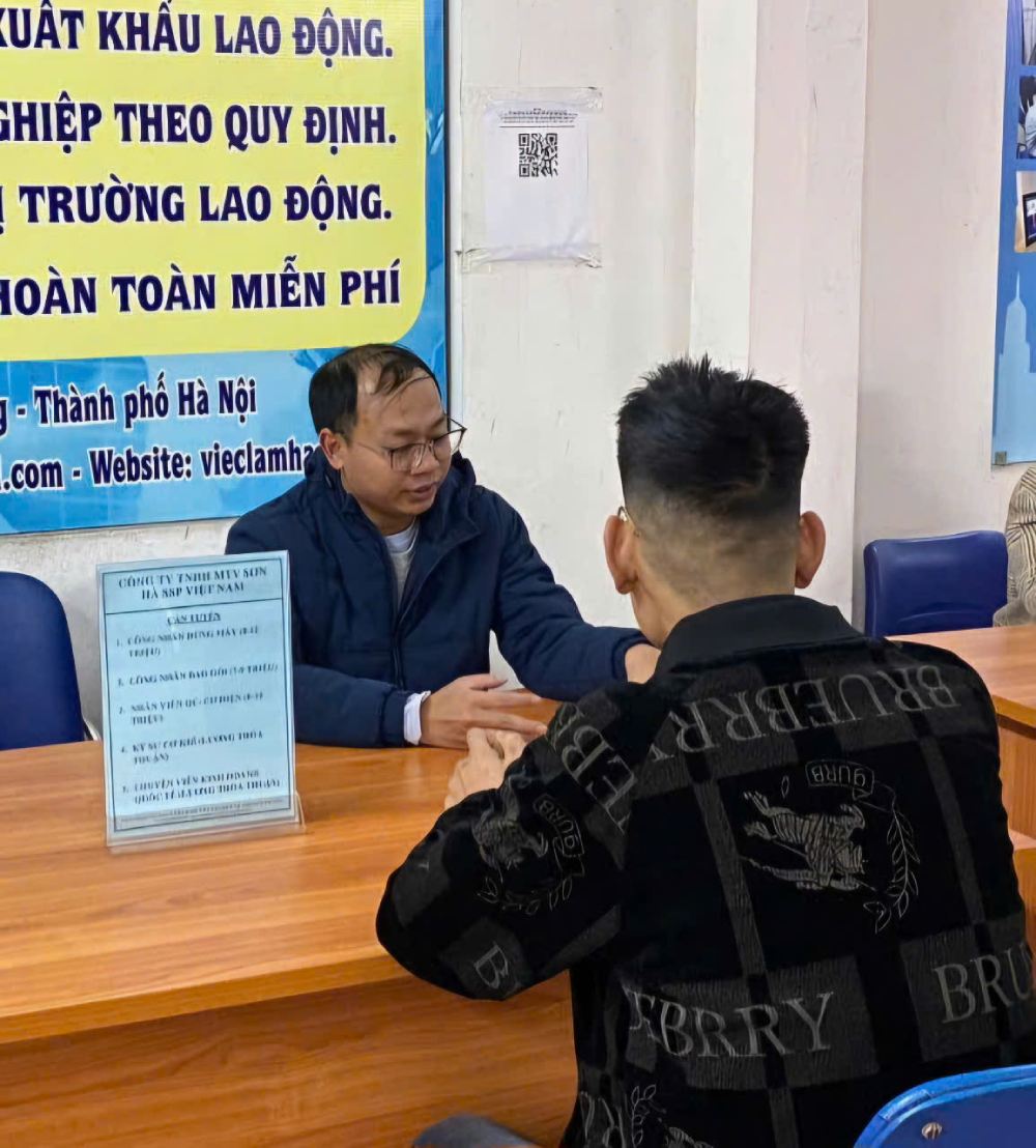 Ademas de la plataforma central, el Centro de Servicios de Empleo de Hanoi tambien esta conectado con 14 plataformas satelitales en los distritos y distritos. Imagen de la pagina web de la Universidad de Hong Kong