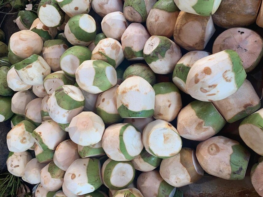 In the summer, mothers who give their children coconut water need to pay attention to some points. Photo: Kieu Vu